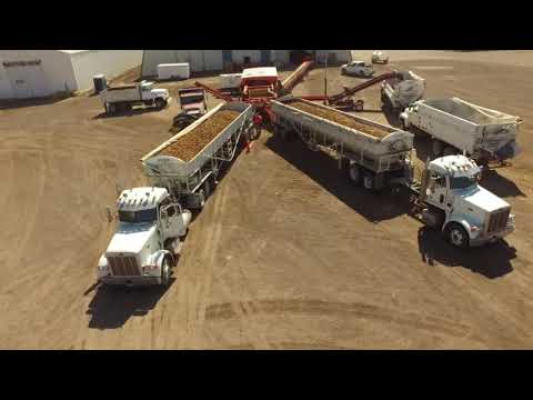 Potato Harvest 2020 Colorado Ponderosa