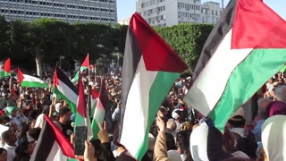تنديدا بمحرقة رفح، مش