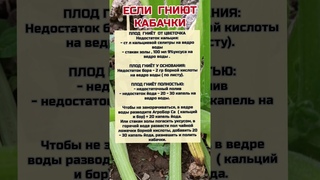 Если Гниют Кабачки #огород #кабачки #полезныесоветы #огородныедела #садогород #shortvideo #реки