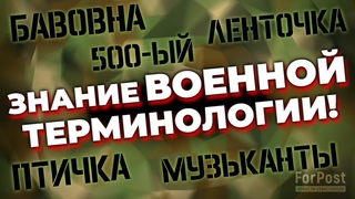Севастопольцы изобрели новую ЧВК и не знают военную лексику! // Опрос ForPost