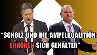 SKANDAL!SCHOLZ und die Ampelkoalition ERHHEN sich GEHLTER, whrend RENTNER um Rente bangen!