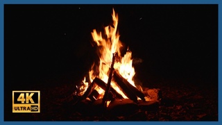 Campfire with Cosy Crackling sounds. 4k Loop. Unwind. De-stress.