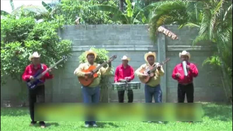 La Ultima Carta, No Tenga Na, Pinotepa Nacional, La Siringa, La Vida del
