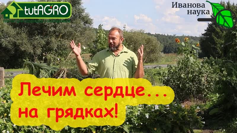 ЭТО УДОБРЕНИЕ НАСТРОЕНИЕ ВСЁ БУДЕТ СТОЯТЬ и КОЛОСИТЬСЯ