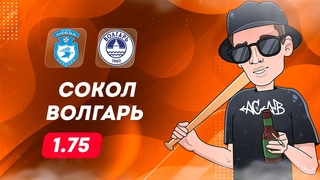 Сокол Волгарь прогноз на футбол сегодня ФНЛ