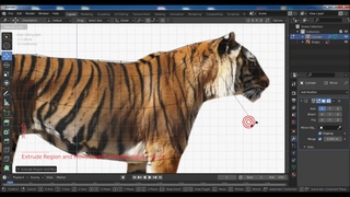 Creating a Tiger in Blender  PART 1