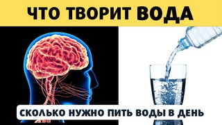 Вода. Почему так важна Как правильно пить воду