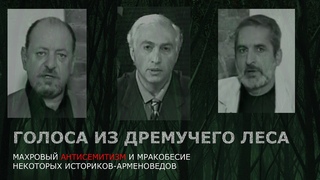 Голоса из леса. Историки-арменоведы