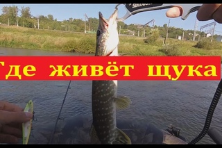 Где искать щуку в реке - Ловля на спиннинг