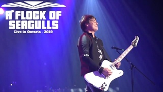 A Flock Of Seagulls - I Ran (So Far Away) - Live in Ontario 2019 Video HD