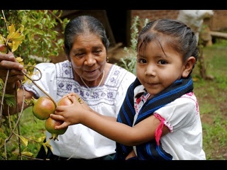 m thc truyn thng Mexico (Mexican traditional cuisine) #AloAi