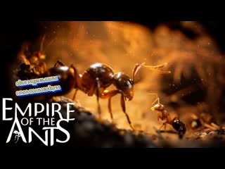 Empire of the ants=муравьишка и его войско
