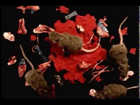 Someday You Will Be Loved Death Cab for