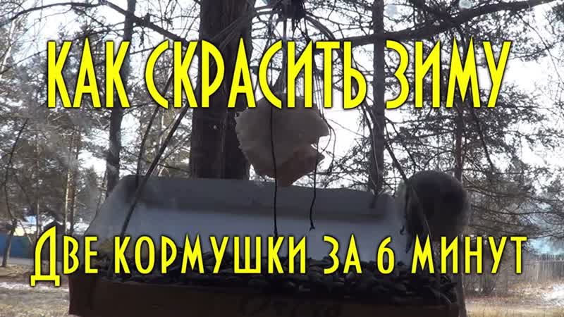 Как скрасить зиму, две кормушки для птиц за шесть минут