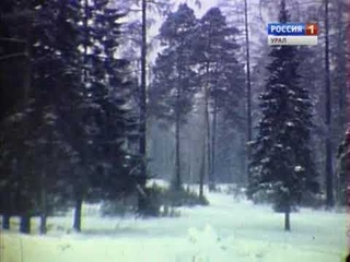 Сказка в городе живет (Каменск-Уральск) СССР (1981) ❄ О зимних каникулах в городе Каменск-Уральском