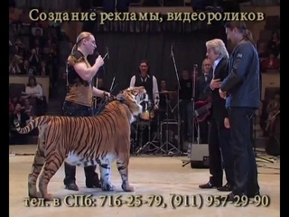 Николай Басков и тигр Мартин