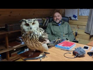 @ekskyrsovod  приглашает на встречу! Сова филин Варя троллит изо всех сил
