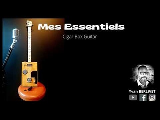 Yvan BERLIVET - Mes Essentiels