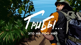 Неспокойные ночи. LizaAlert. 2 серия.
