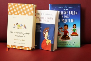 Книга в помощь: выпуск 17