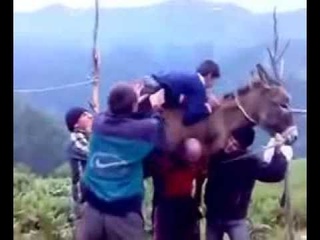А потом они потрахались