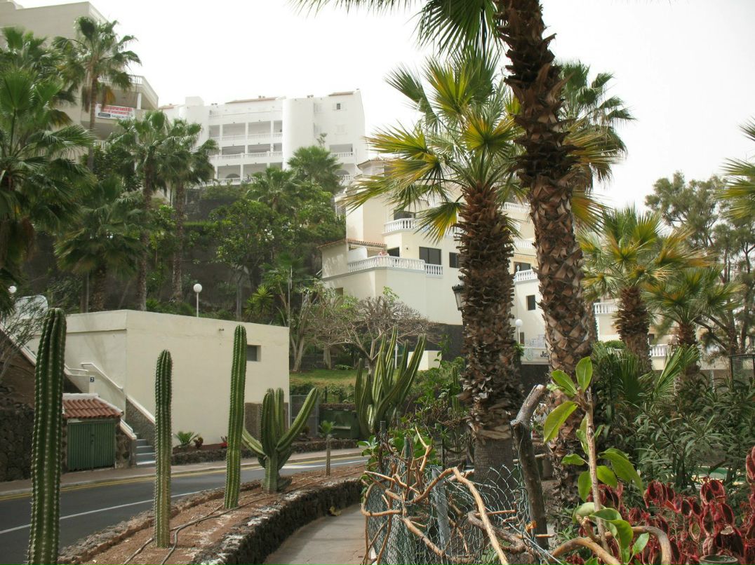 Mihail Gita | Кохтла-Ярве