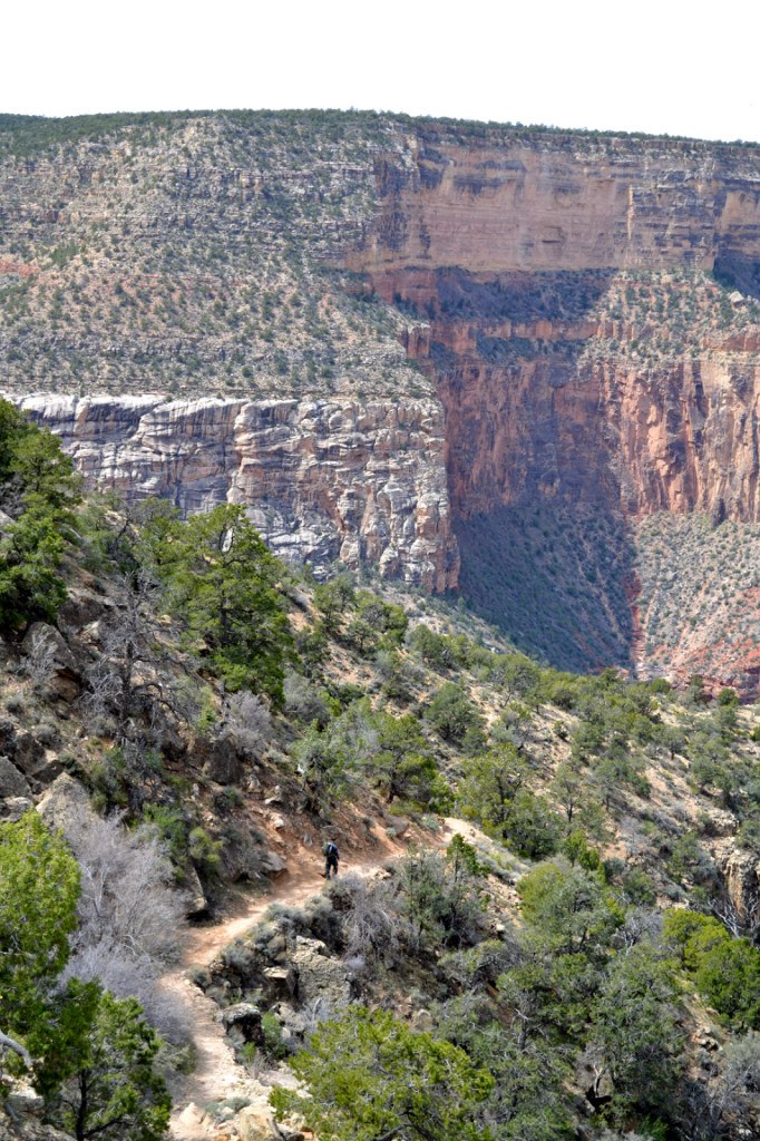 Наталья Корицкая | San Francisco