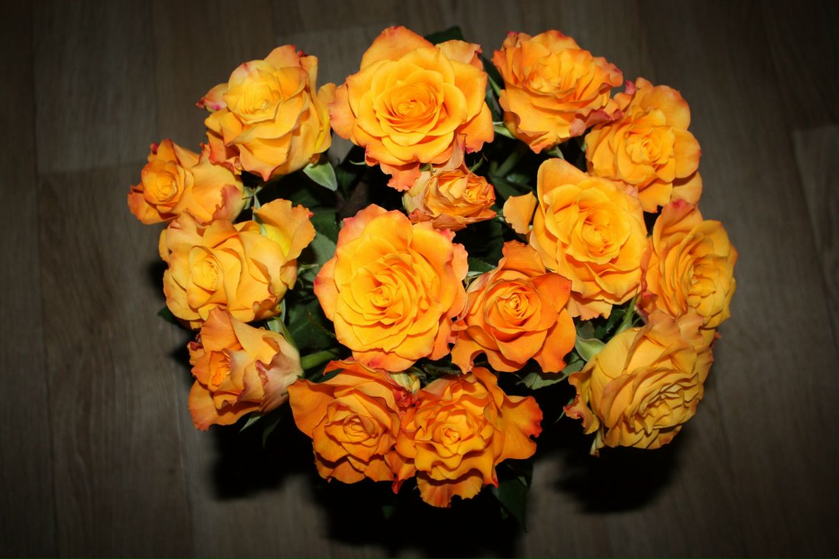 Татьяна Тысько (Ершова) | Йошкар-Ола