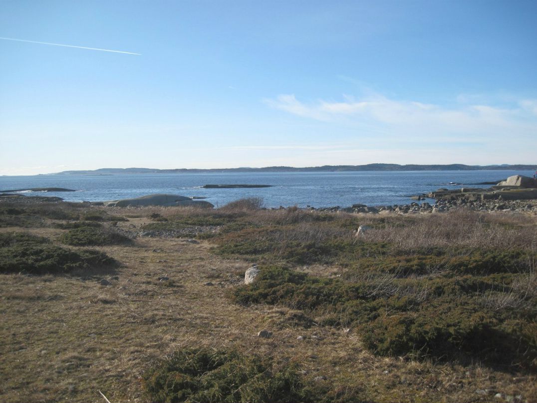 Елена Карлсен | Tønsberg