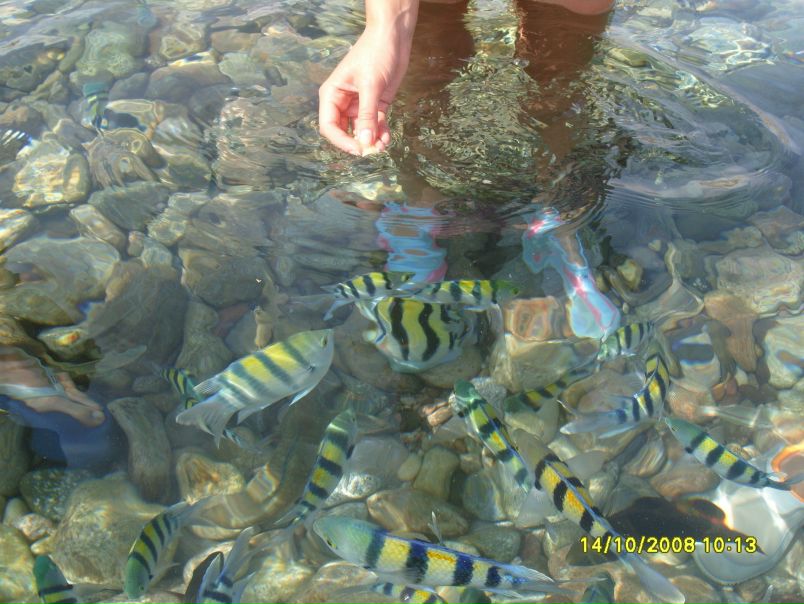 №4, Ирина Новицкая, Минск №4, Ирина Новицкая, Минск