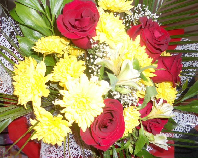 №164, Ольга Писковец, Новосибирск №164, Ольга Писковец, Новосибирск