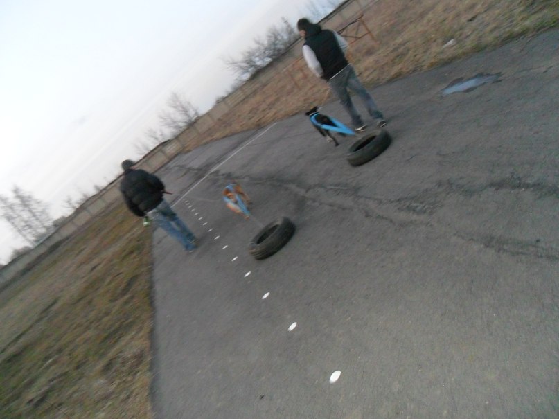 Сашка Галка | 