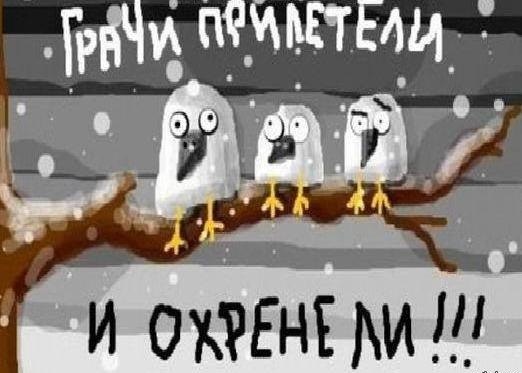 №10, Тёма Киреев, Москва №10, Тёма Киреев, Москва