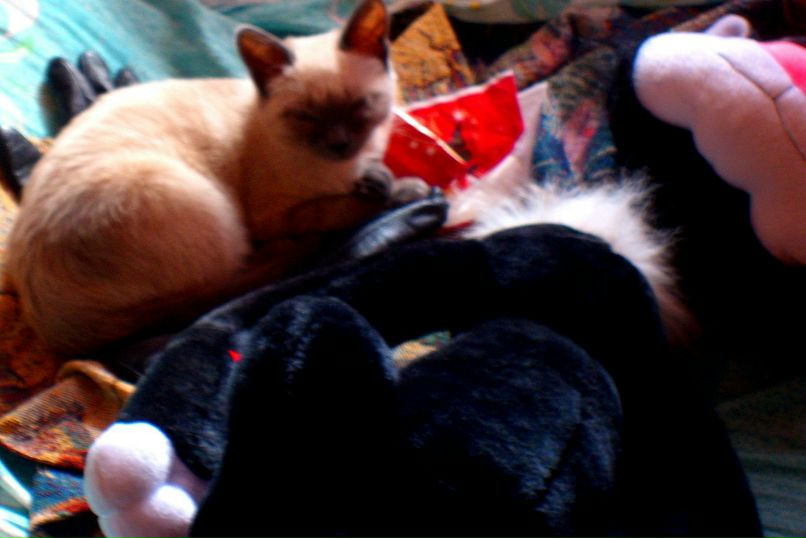 Леся Котманова | Ульяновск