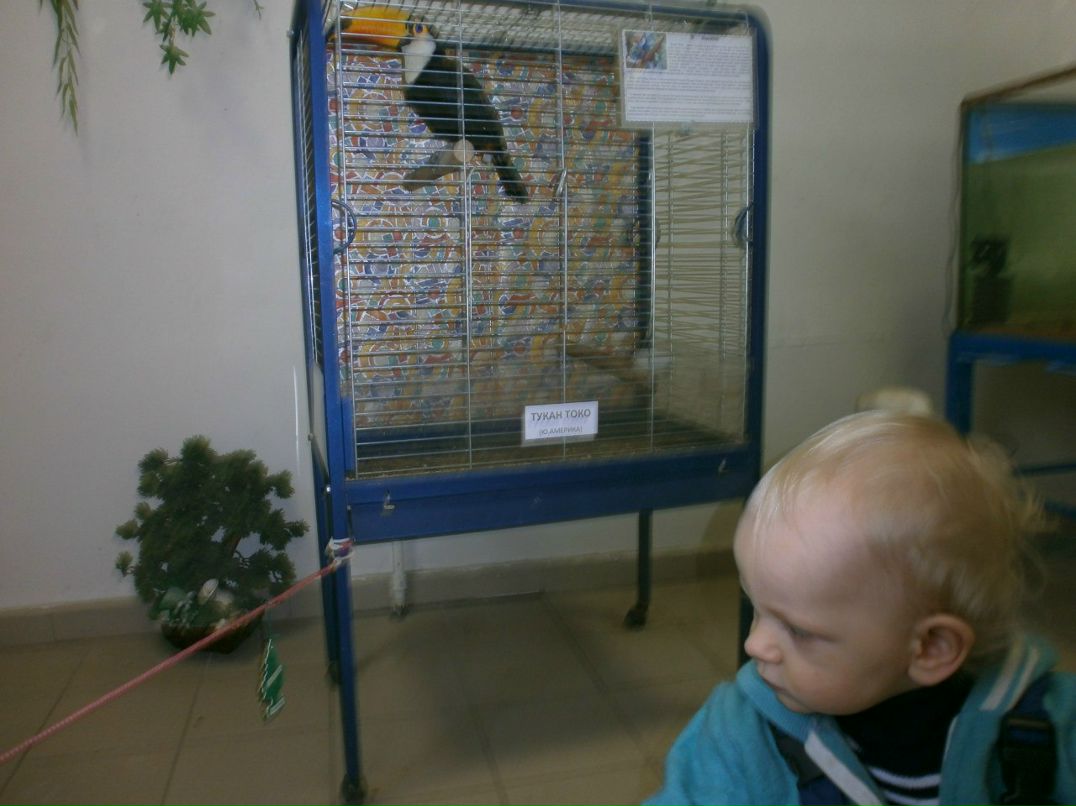 Елена Назарова | Псков