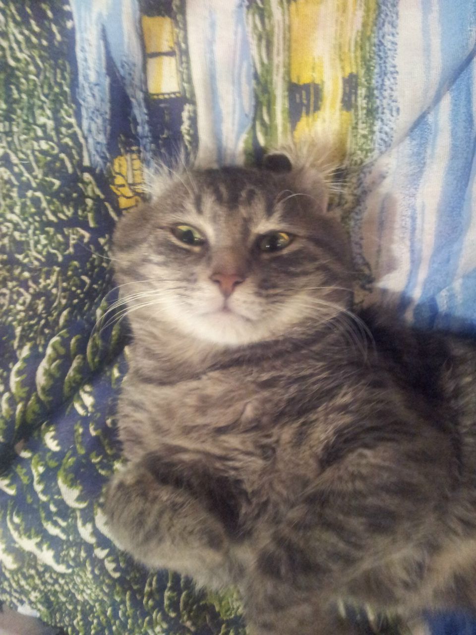 Нил Замилев | Санкт-Петербург