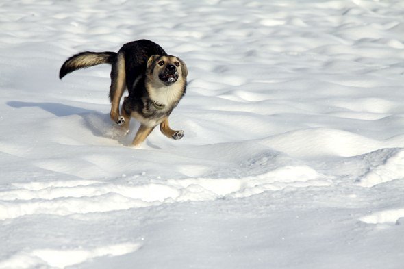 Оля Зарецкая | Киев