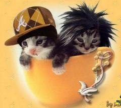 Serj Smirnoff | Санкт-Петербург