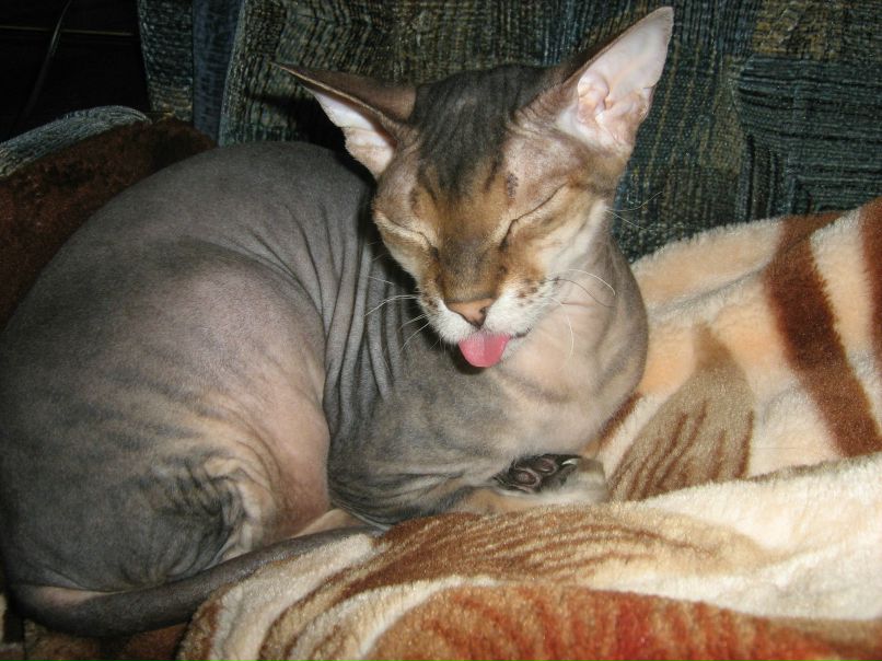 Изольда Усольцева | Санкт-Петербург