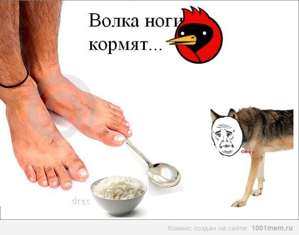 Антон Кривець | Ровно