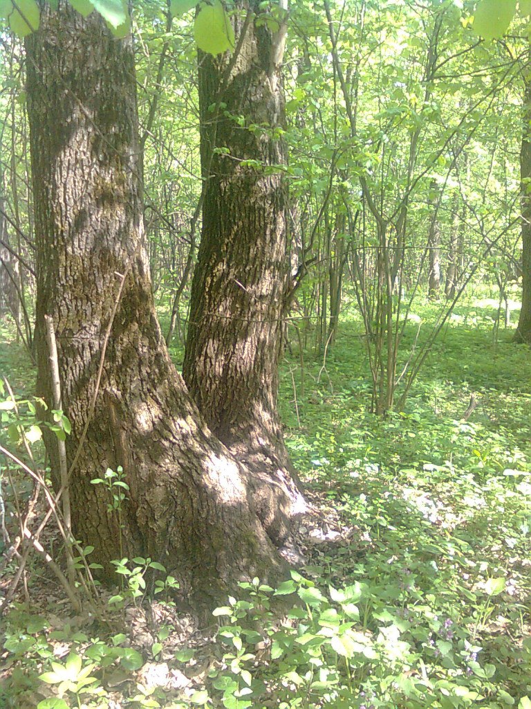 Александр Катрич | Харьков