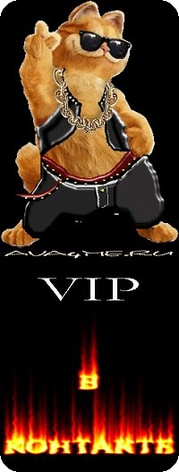 №8, Андрей Петров №8, Андрей Петров