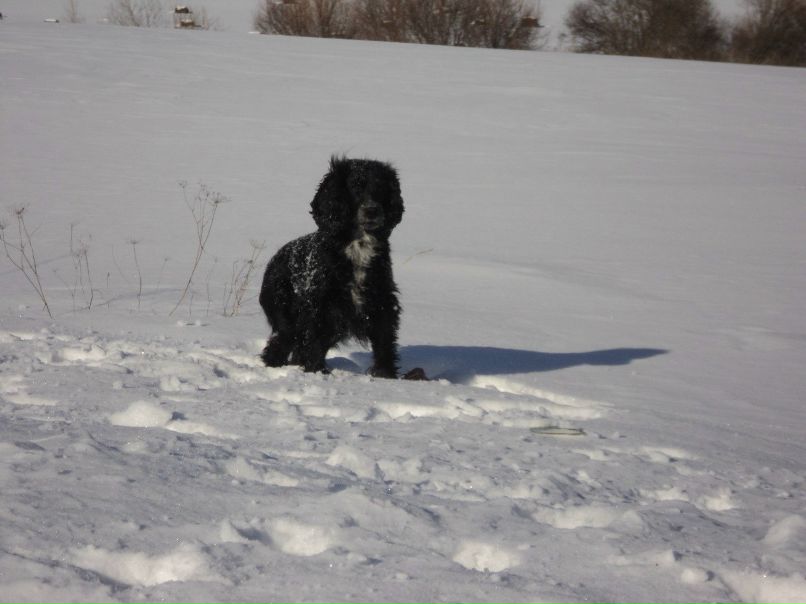 Татьяна Савельева | Сыктывкар