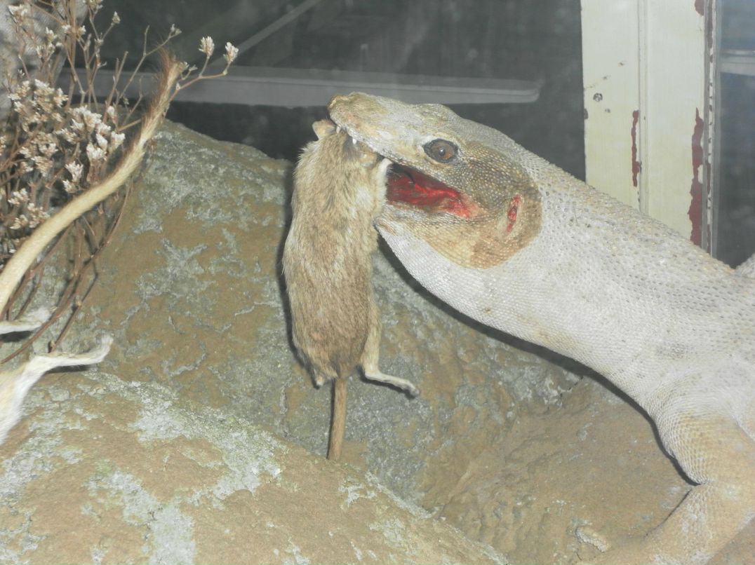 Алексей Засорин | Пермь