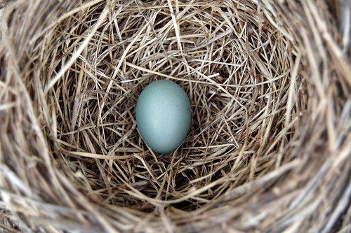 Дарья Зацепилова | Краснодар