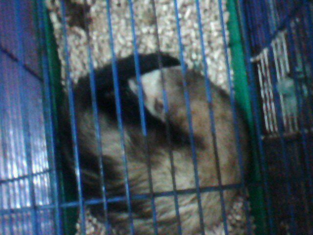 №174, Ленусик Кононикина, 35 лет, Харьков №174, Ленусик Кононикина, 35 лет, Харьков