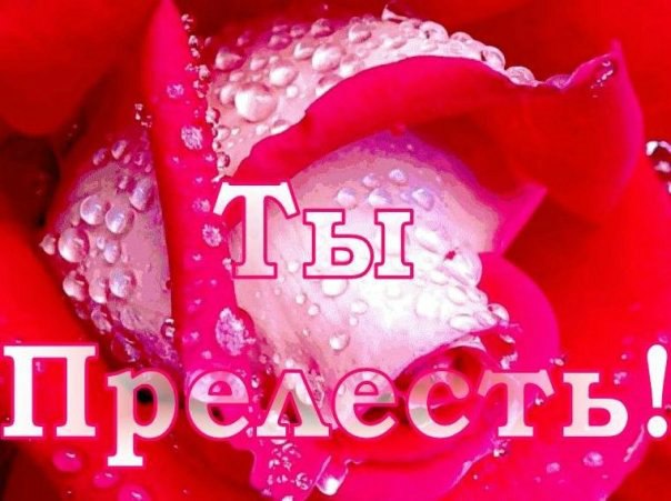 №88, Настюша Пастушок, 29 лет, Романковцы №88, Настюша Пастушок, 29 лет, Романковцы