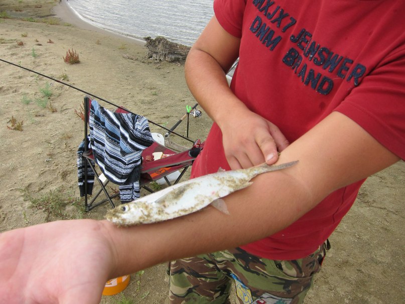 Кирилл Кузнецов суровый парень)))) | Москва