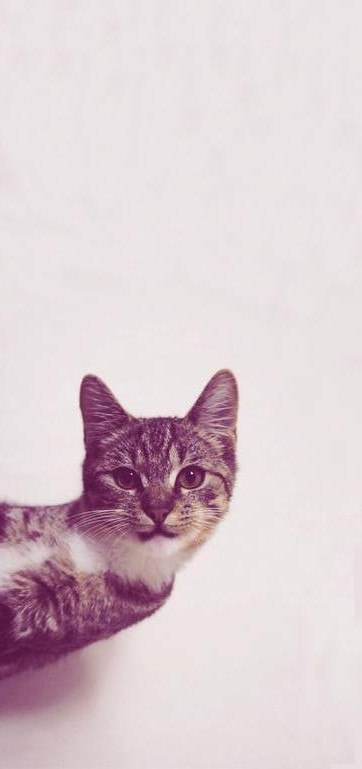 Jana Avrei | Вильнюс