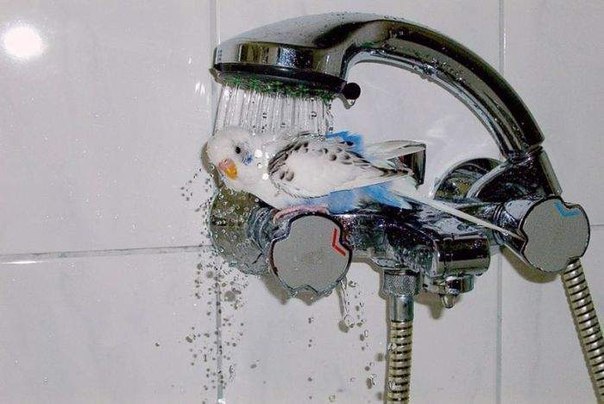 Людмила Авраменко | Харьков